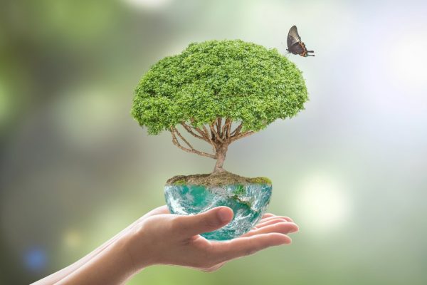 saving-environment-and-natural-conservation-concept-with-tree-planing-picture-id1156350074 saving-environment-and-natural-conservation-concept-with-tree-planing-picture-id1156350074